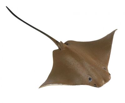 Safari adelaarsrog junior 21 cm rubber wit/bruin Safari adelaarsrog junior 21 cm rubber wit/bruin