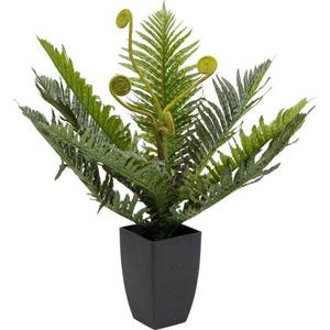 Kare Kunstplant Farn 55cm