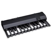 Hammond XPK-200G 20-tonig MIDI-baspedaal