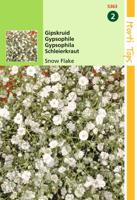 Zaden Gypsophila Gipskruid Snow Flake dubbelbloemig wit Hortitops - Hortitops