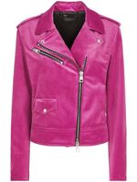 Giuseppe Zanotti veste de moto Amelia - Rose