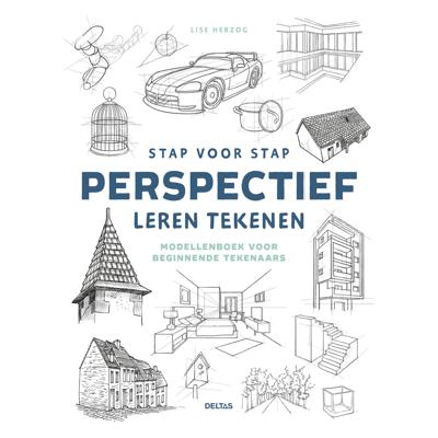 Deltas Stap voor stap perspectief leren tekenen hobbyboek