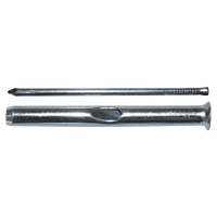 pgb-Europe SMART | Cellenbetonnagel "K" met kraag Ø 6x60 Zn SM0CBN0010600603
