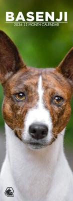 Basenji Slimline Kalender 2026