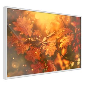 Ingelijste Poster - Gouden Bladeren, Herfst, Witte lijst