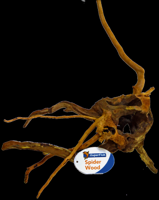 Superfish Spiderwood Small - Goudbruin Azalea Hout voor Aquarium Decoratie