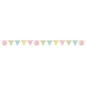 Vlaggenlijn Baby Shower Multikleur - 1.7m