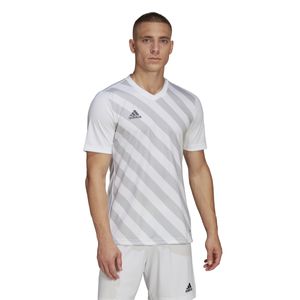 adidas Entrada 22 Graphic Voetbalshirt Wit Grijs