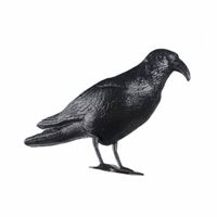 3x Tuinartikelen vogelverschrikker raaf/zwarte kraai / kraai 38 cm - Feestdecoratievoorwerp - thumbnail