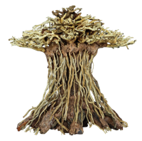 Superfish Bonsai Mushroom Medium - Realistische Aquascape Decoratie voor Aquaria