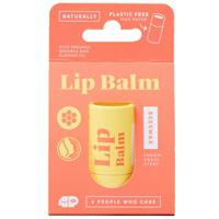 Lipbalm met Bijenwas in Plasticvrije Tube