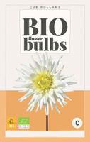 Bio Dahlia My Love Bloembol JUB 1 bol - Jub