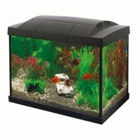 Superfish Start 20 Aquarium Kit - Compleet Zwart 20L Set met LED, Energiezuinig, 2jr Garantie