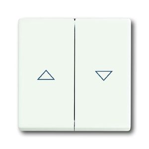 Busch-Jaeger bedieningswip 1785 JA-884 studiowit mat