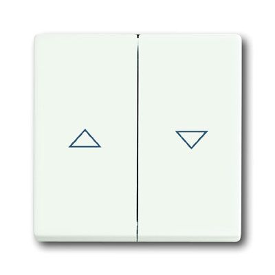 Busch-Jaeger bedieningswip 1785 JA-884 studiowit mat