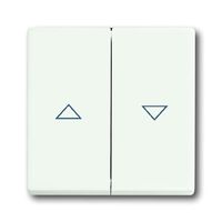Busch-Jaeger bedieningswip 1785 JA-884 studiowit mat