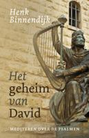 Het geheim van David (Paperback) Het geheim van David (Paperback)