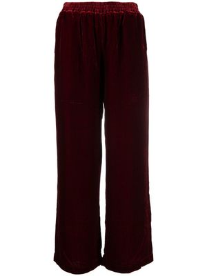 Gold Hawk pantalon en velours - Rouge