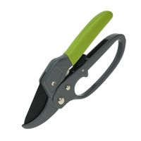 Pro Garden Snoeischaar/takken/rozen knipschaar - groen - 20 cm