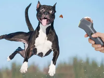 Hondensnack Launcher Hondensnack Launcher