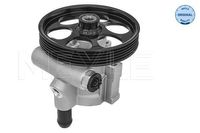 Servo pomp 16166310002