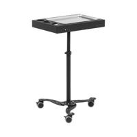 Tattoo werktafel - in hoogte verstelbaar - verrijdbaar - 45 x 35 x 62 - 100 cm