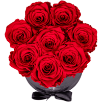 Flowerbox longlife Gigi Flowerbox longlife Gigi