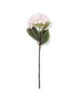 HEMA Kunstbloem hortensia 55cm wit (wit)