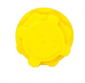 Radiateurdop BSG30551001