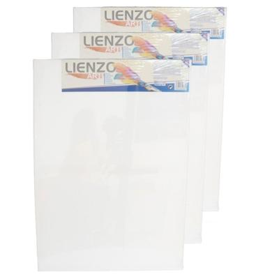 Canvas schildersdoek - 3x stuks - 70 x 50 cm - rechthoek - hobby verven/schilderen - DIY schilderije