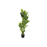 Decoratieve plant DKD Home Decor Polyethyleen Groen 40 x 40 x 120 cm Stads