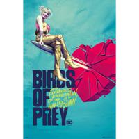 Poster Birds of Prey Broken Heart 61x91,5cm - thumbnail