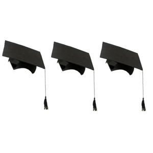 Afstudeerhoedje geslaagd met kwast - 10x stuks - volwassenen - zwart - Examen diploma uitreiking
