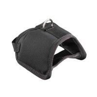 Leuze Electronic 50109534 Leuze 1 stuk(s)