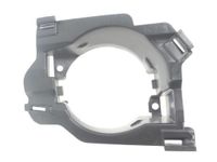 Ventilatiegrille, bumper 6502071301916P