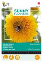 Sunny flowers sungold - Buzzy