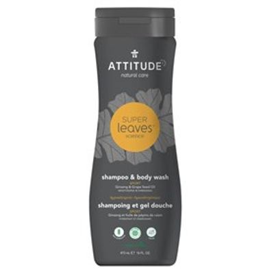 2-in-1 Shampoo en Body
