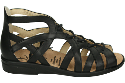 Ganter 202881 SONNICA - alle