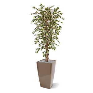 Ficus Hawai kunstboom 150cm