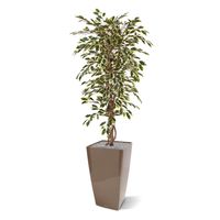 Ficus Hawai kunstboom 150cm