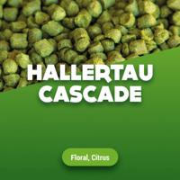 Hopkorrels Hallertau Cascade 100 g - thumbnail