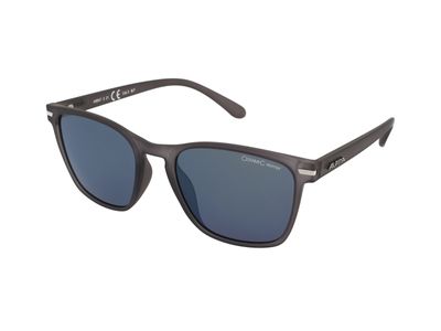Zonnebrillen Alpina Yefe Grey Transparent Matt/Gold Mirror