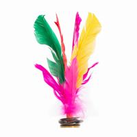 SET 6 FOOTBALL INDIAKAS WITH MULTICOLOR PLUMES