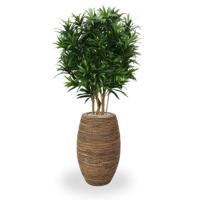 Draceana Reflexa kunstplant 150cm - groen