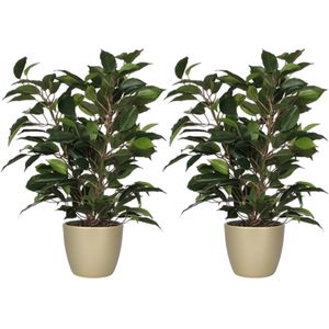 2x stuks groene ficus kunstplant 40 cm met plantenpot parelgoud D13.5 en H12.5 cm