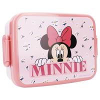 Minnie Mouse lunchbox - Bon Appetit!!