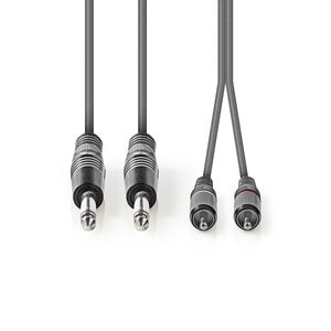 Stereo audiokabel | 2x 6,35 mm male - 2x RCA male | 3,0 m | Grijs