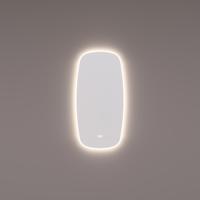 HIPP Design spiegel Deens Ovaal Verticaal 45 x 90 cm met Directe en Indirecte LED Rondom Spiegelverwarming Kleurenwissel Touch Dimmer