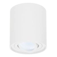 Ronde LED Opbouwspot Ray - 4 Watt 345 Lumen - 6500K daglicht wit - Kantelbaar - GU10 - Opbouwspot - IP20 Voor binnen - Wit - Dimbaar