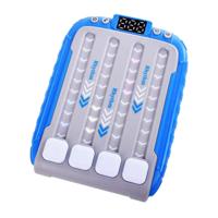 Brain Games Volg het Ritme Spel